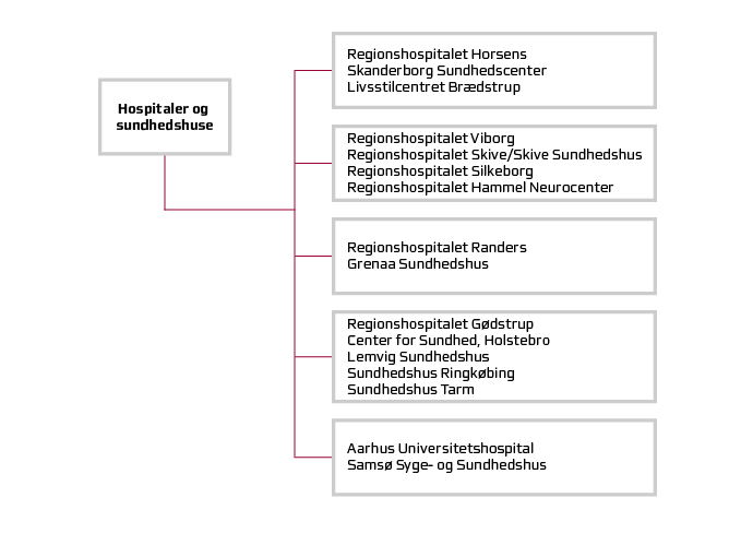 Organisationsdiagram over de somatiske hospitaler