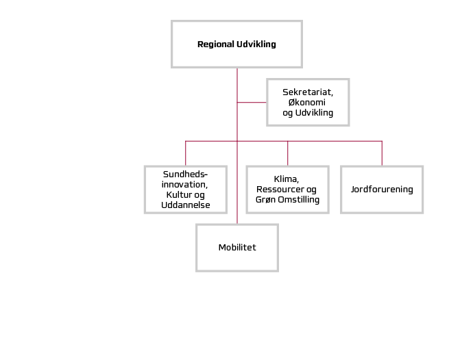 Regional Udviklings organisationsdiagram.