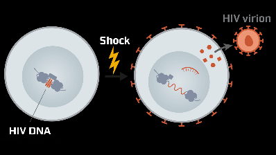 HIV-virus