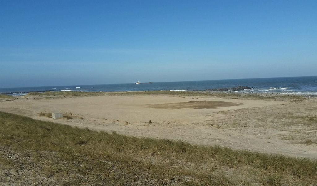 Udsigten over stranden ved Høfde 42 på Harboøre Tange tirsdag den 26. juni. Hegnet fra 2011 er taget ned. Foto: Region Midtjylland 