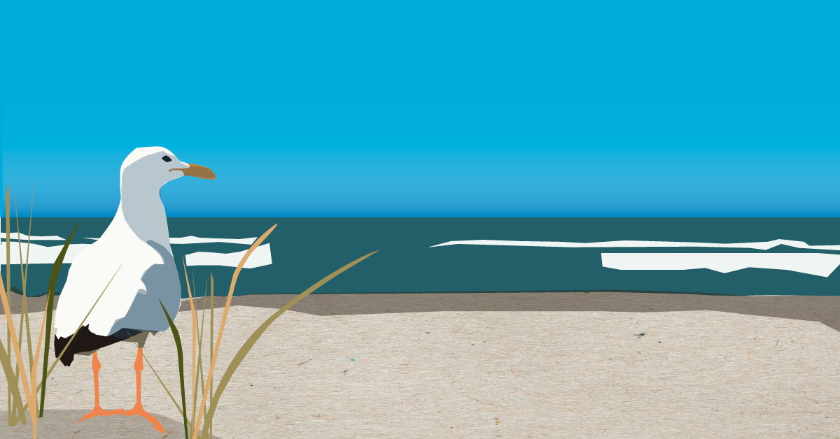 Illustration med en måge i forgrunden og strand og hav i baggrunden