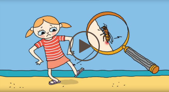 Skærmbillede fra animationsfilm om insektbid Skærmbillede fra animationsfilm om insektbid