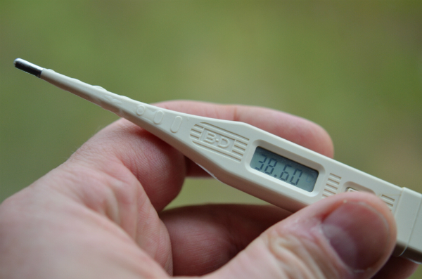 kop Sikker Perforering Sådan måler du temperaturen på dit barn - Region Midtjylland
