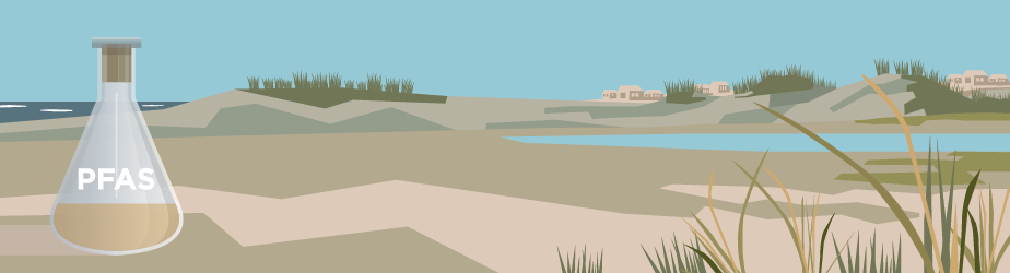 Illustration der forestiller kystlandskab og i forgrunden en kolbe, hvorpå der står PFAS.